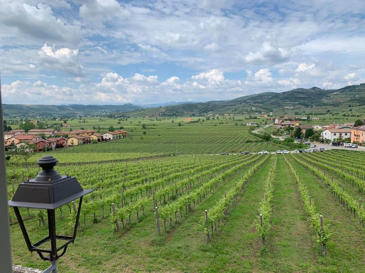 Soave House Alle Vigne-2-Luxury Stay エクステリア 写真