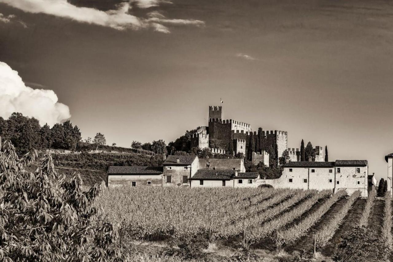 Soave House Alle Vigne-2-Luxury Stay エクステリア 写真